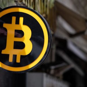 Crypto Report: Bitcoin Falls, Altcoins Extend Losses