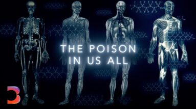 The Forever Chemical Scandal | Bloomberg Investigates